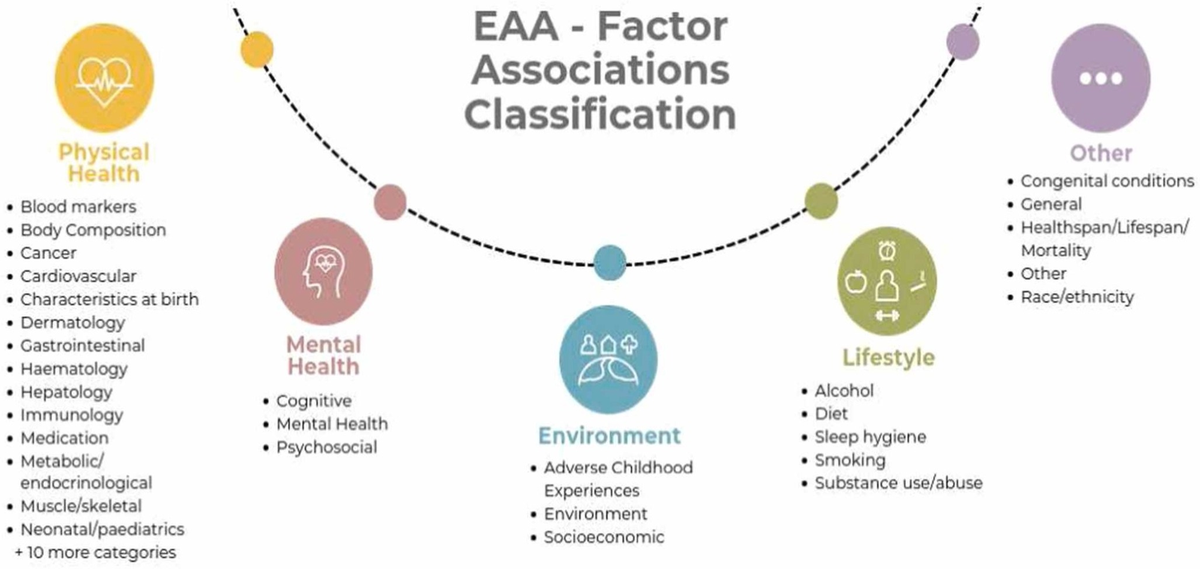 Epigenetic age acceleration associations