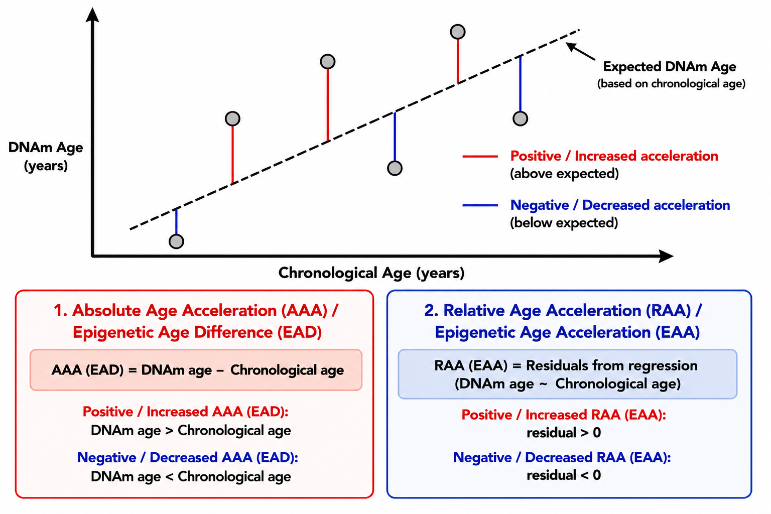 Epigenetic aging